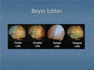Mental Health and Why Is It Important?